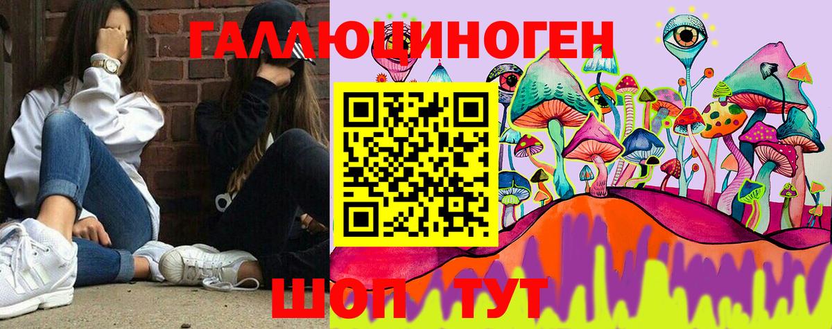 Старая Русса  купить закладку  Вход с VPN  Псилоцибиновые грибы Psilocybine cubensis 