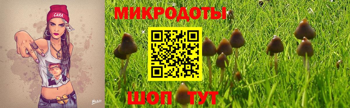 Галлюциногенные грибы мухоморы Старая Русса